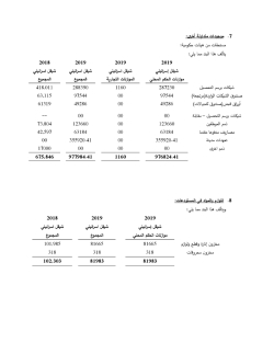 بلدية بيت جالا التقارير المالية النهائية كما في 31122019-page-028