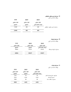 بلدية بيت جالا التقارير المالية النهائية كما في 31122019-page-038