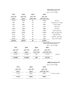 بلدية بيت جالا التقارير المالية النهائية كما في 31122019-page-042